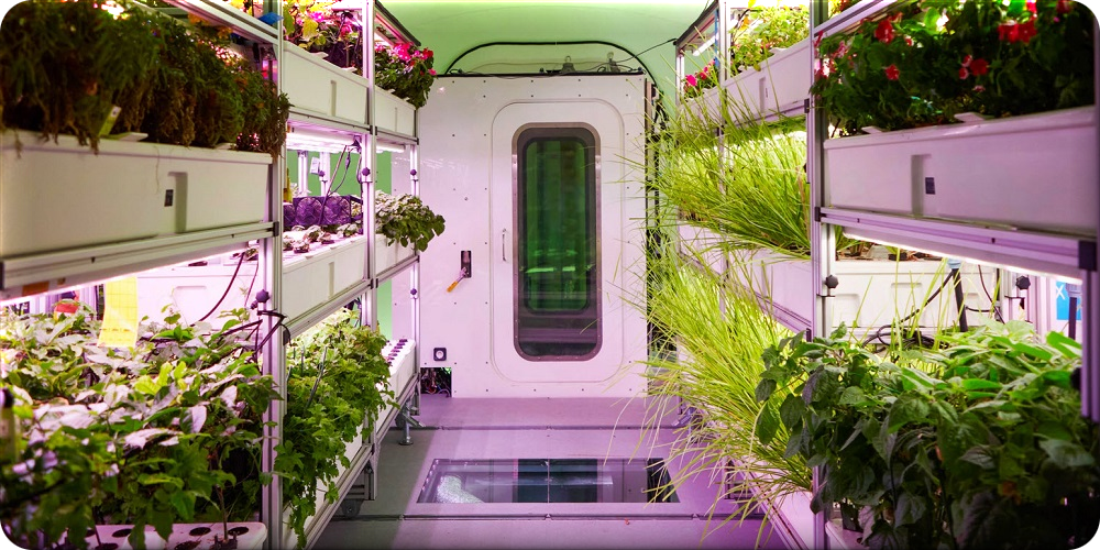 Greenhouses