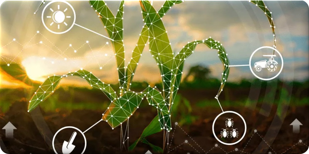 Precision Agriculture